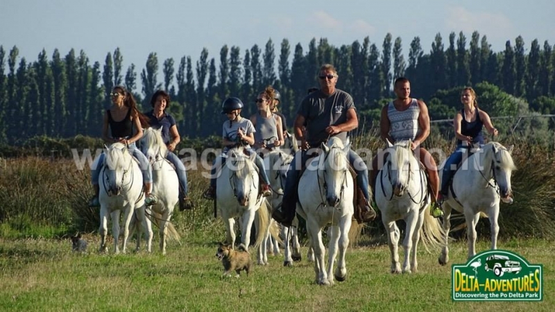 Escursione a cavallo nel Parco del Delta del Po - Agenzia Danilo