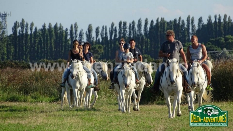 Escursioni a cavallo nel Parco del Delta